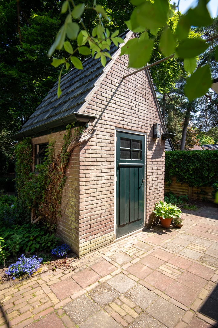 Foto 41 van Driehoek 10