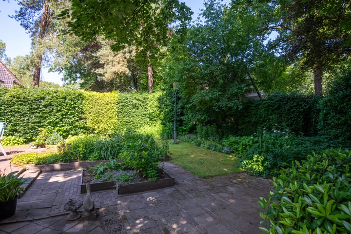 Foto 42 van Driehoek 10