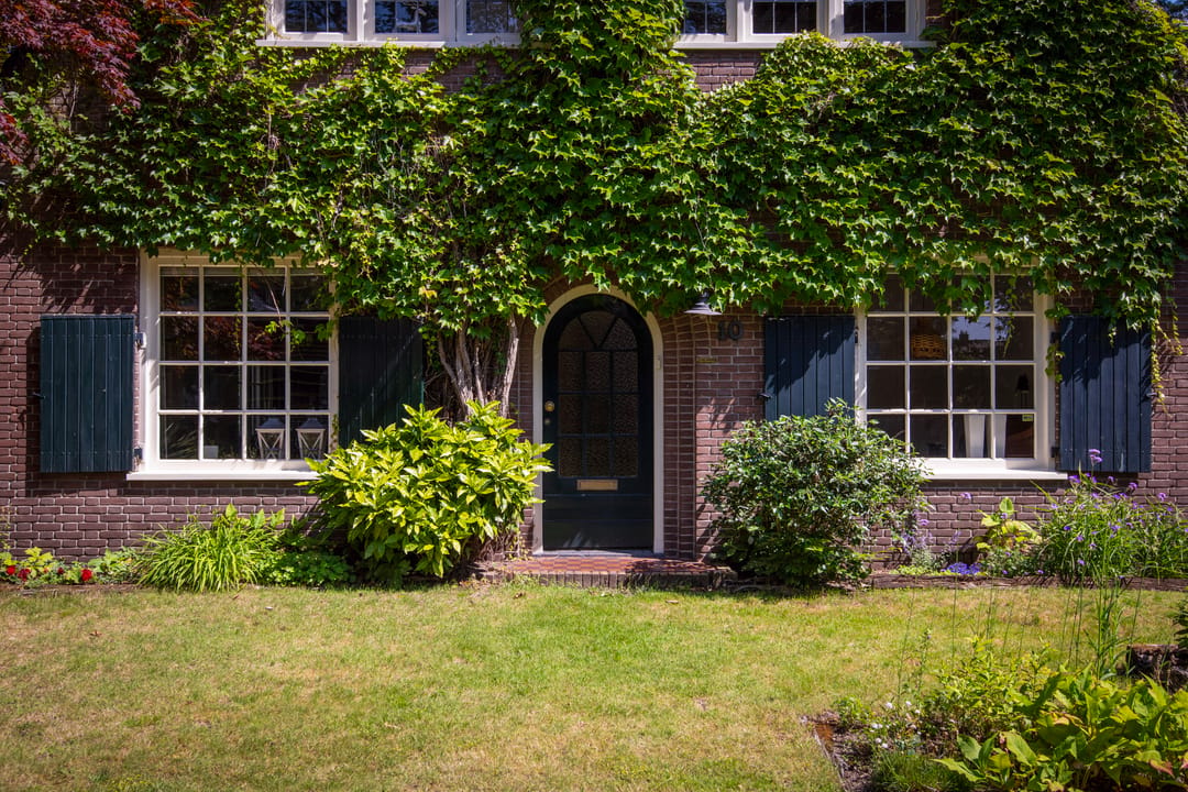 Foto 43 van Driehoek 10