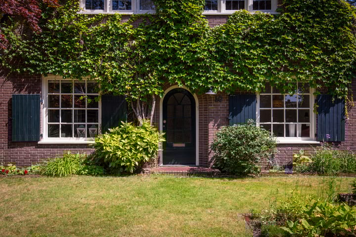 Foto 43 van Driehoek 10