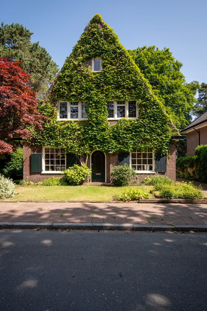 Foto 45 van Driehoek 10