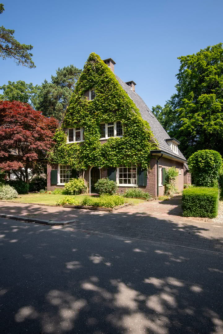 Foto 46 van Driehoek 10