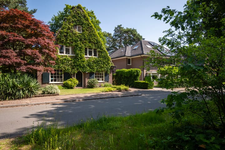 Foto 47 van Driehoek 10