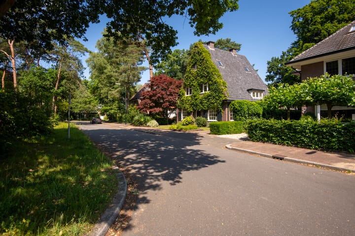 Foto 48 van Driehoek 10