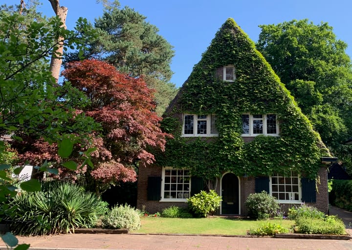 Foto 53 van Driehoek 10