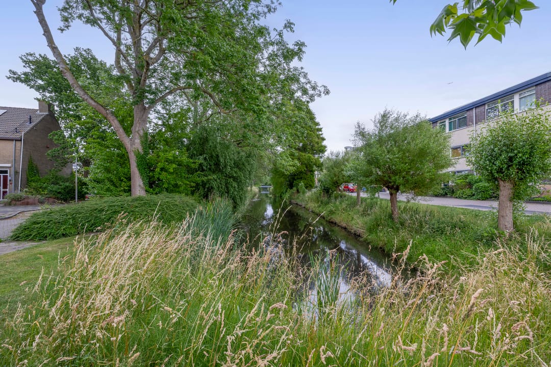 Foto 37 van Mesdagstraat 22