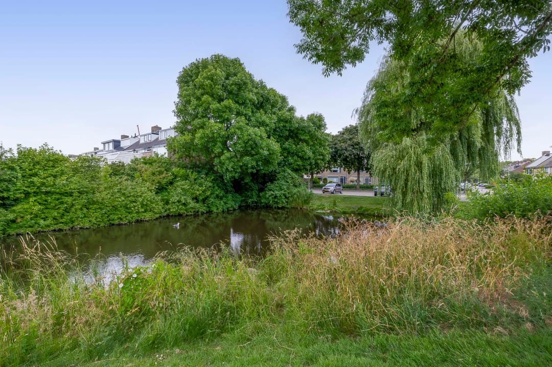 Foto 38 van Mesdagstraat 22