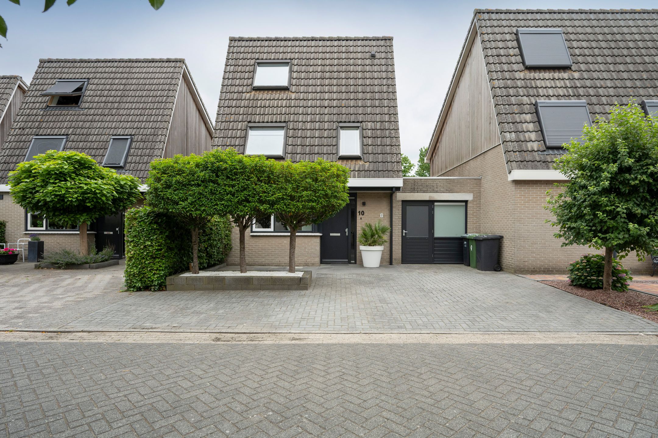 Foto 30 van Watersnip 10