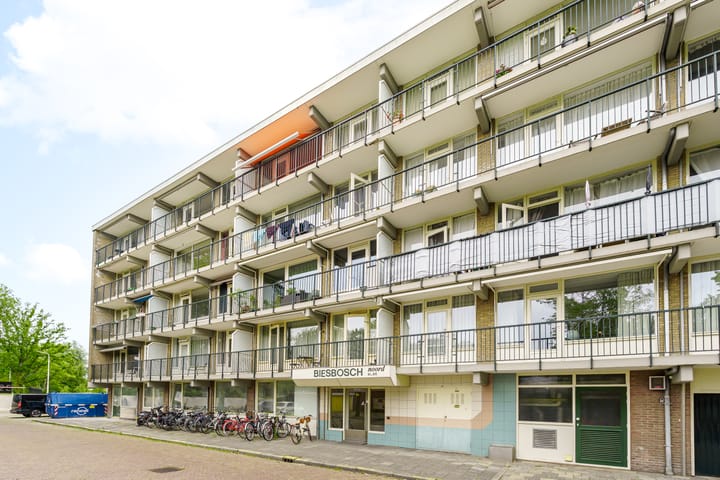 Foto 1 van Biesbosch 179