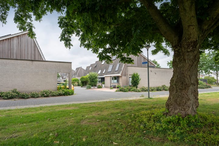 Photo 32 of Watersnip 10