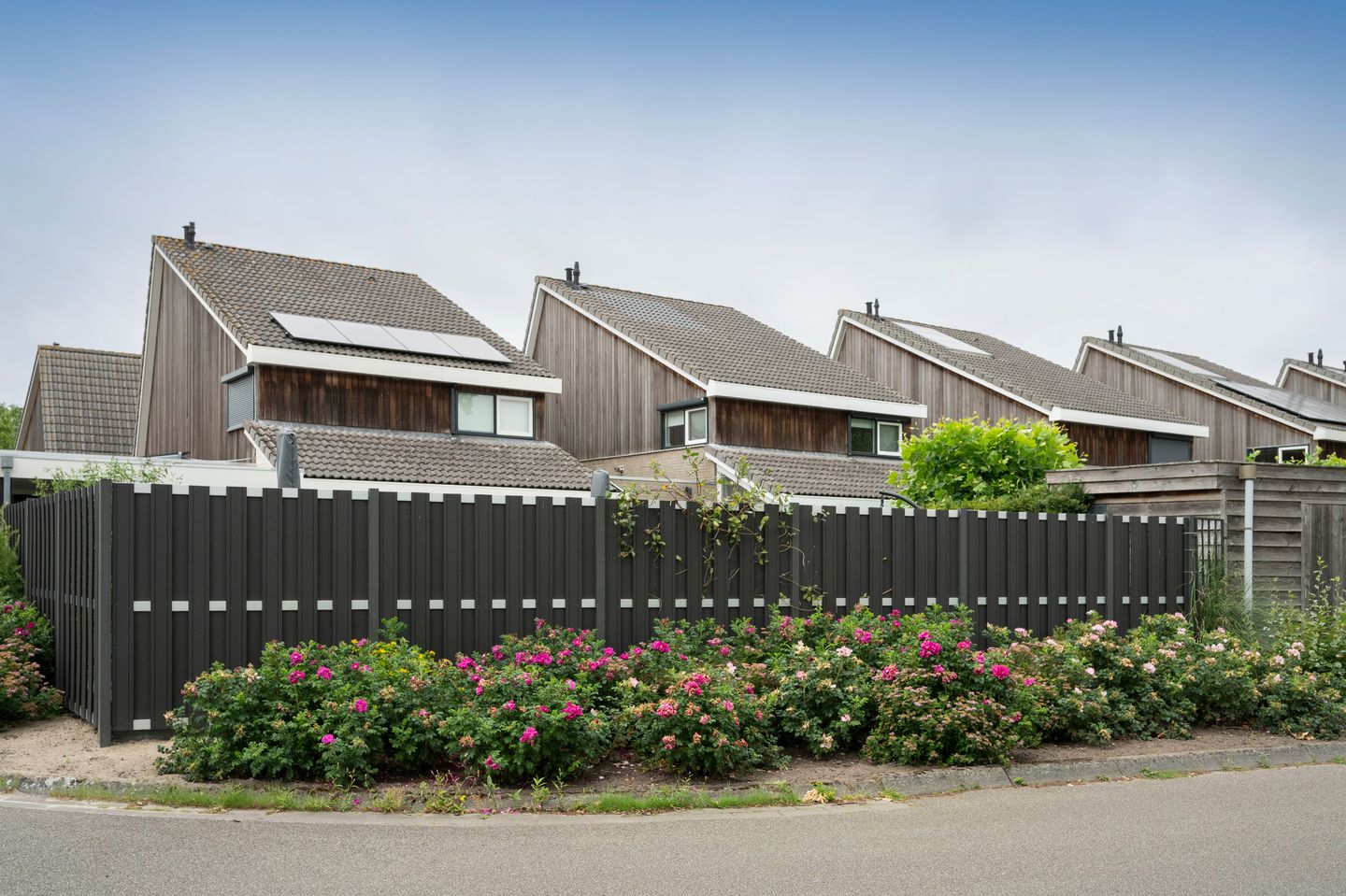 Foto 35 van Watersnip 10