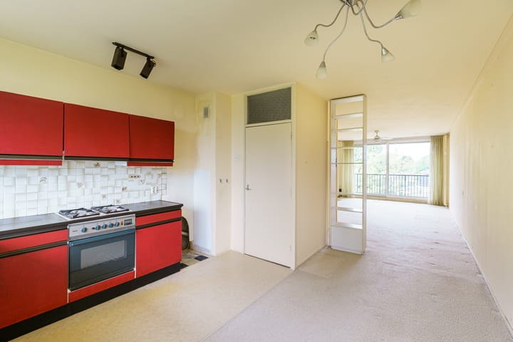 Foto 9 van Biesbosch 179