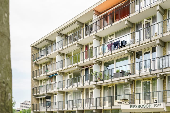 Foto 15 van Biesbosch 179