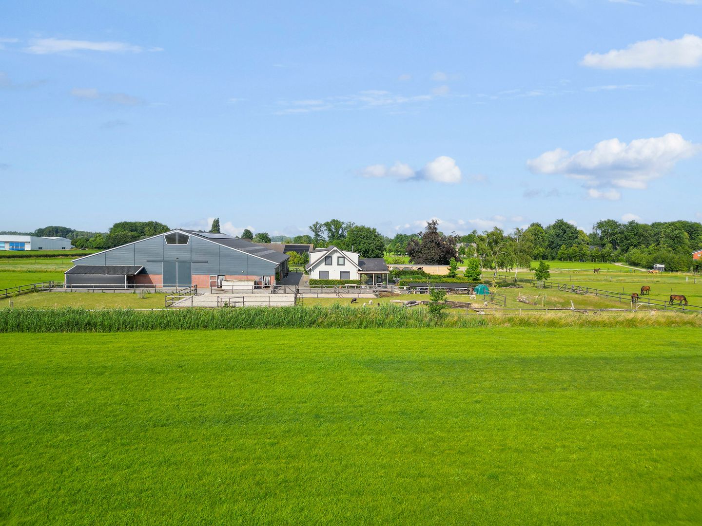 Rijksstraatweg 210 - Teuge - Afbeelding 6