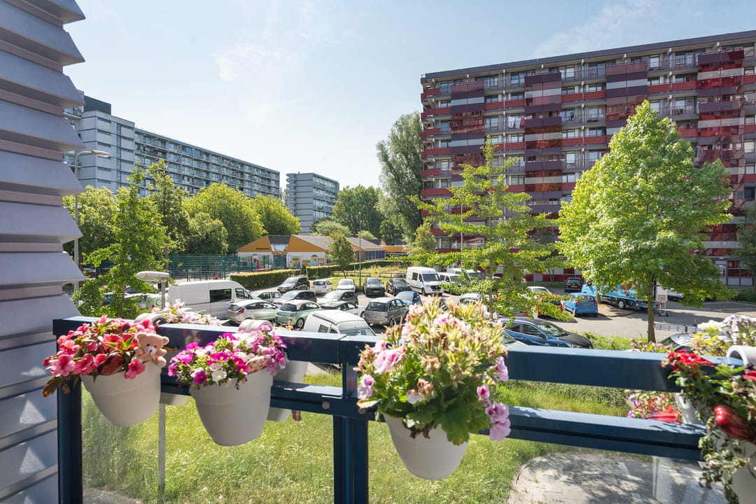 Photo 23 of Ds van den Boschlaan 57