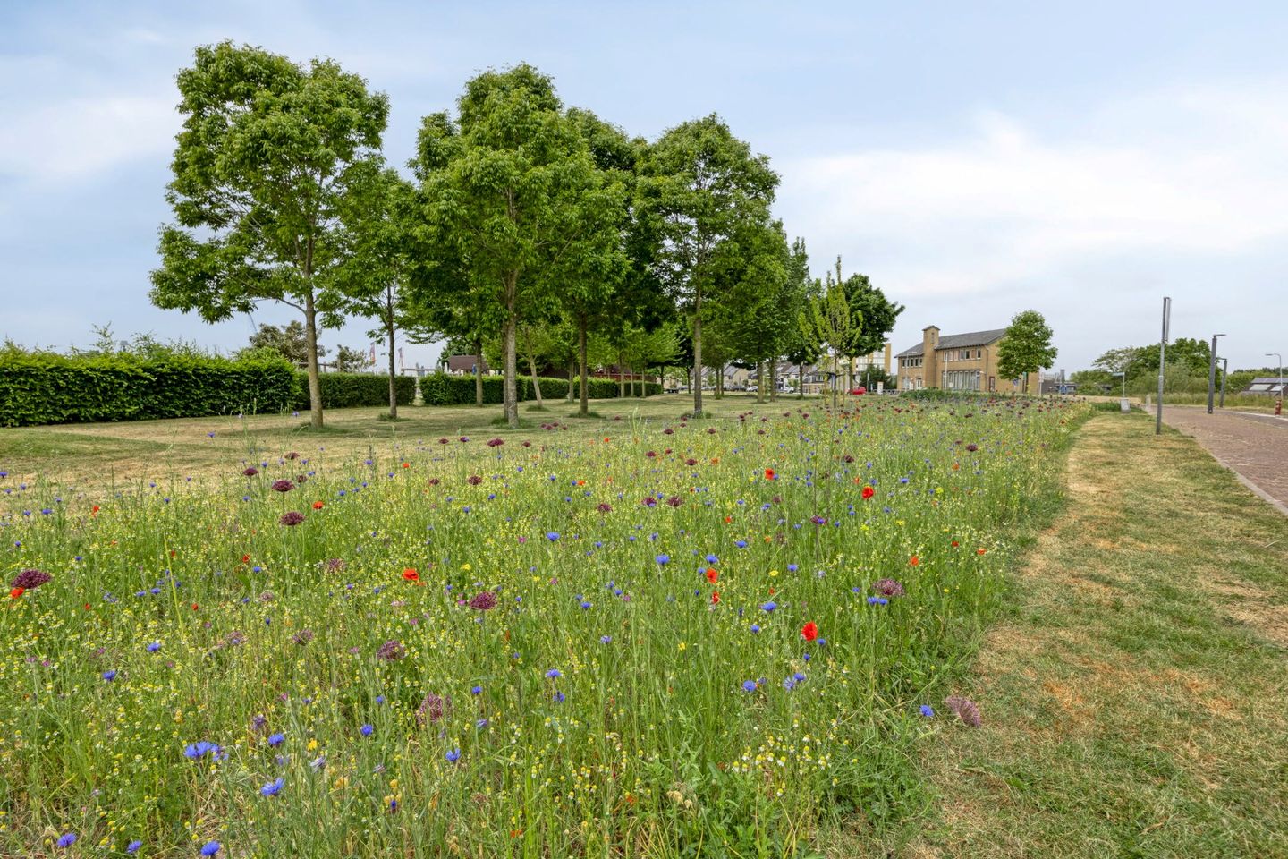 Foto 35 van Atlanta 57