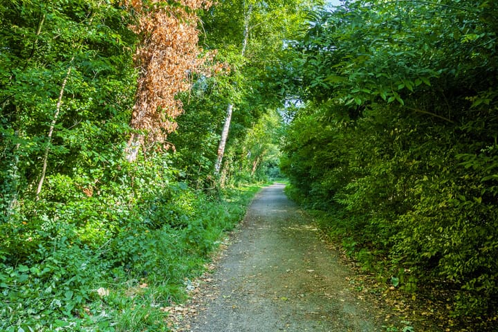 Foto 49 van Oudeweg 33