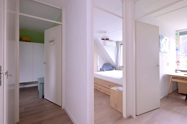 Foto 13 van Citroenvlinder 13