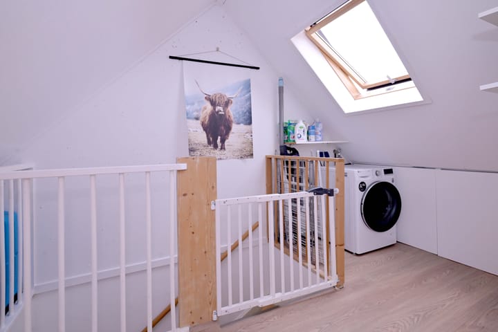 Foto 28 van Citroenvlinder 13