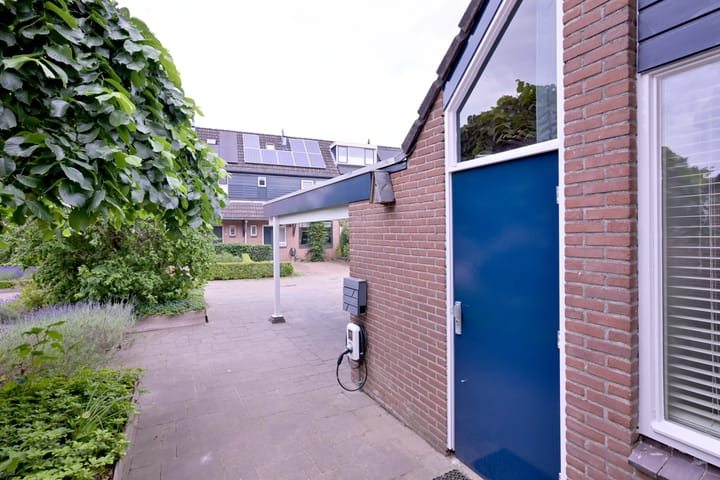 Foto 33 van Citroenvlinder 13