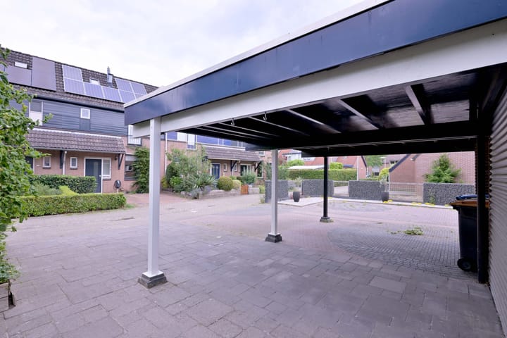 Foto 34 van Citroenvlinder 13