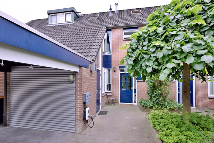 Foto 35 van Citroenvlinder 13