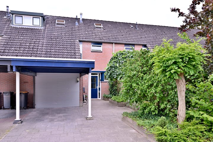 Foto 36 van Citroenvlinder 13