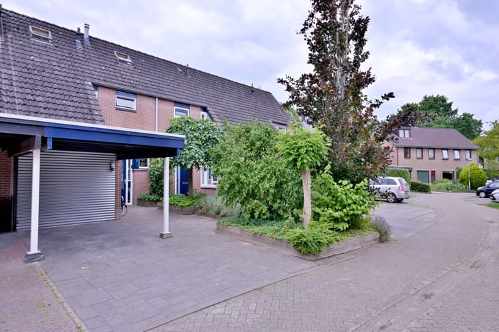 Foto 37 van Citroenvlinder 13