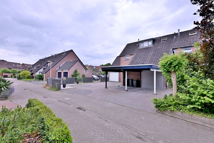 Foto 38 van Citroenvlinder 13