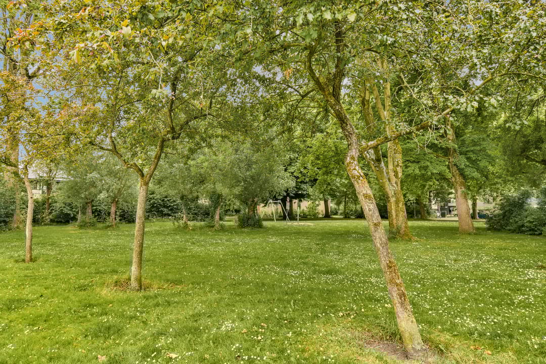 Foto 31 van Anna Hoeve 14