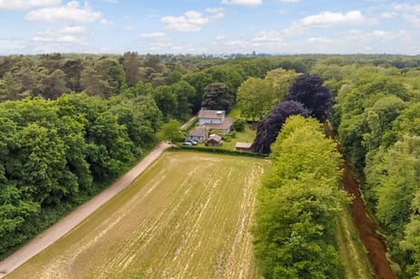 undefined main image