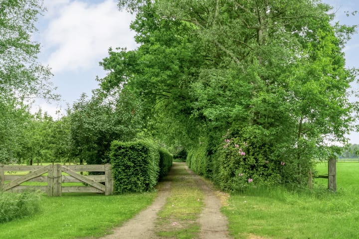 Foto 4 van Stappenbeltweg 2