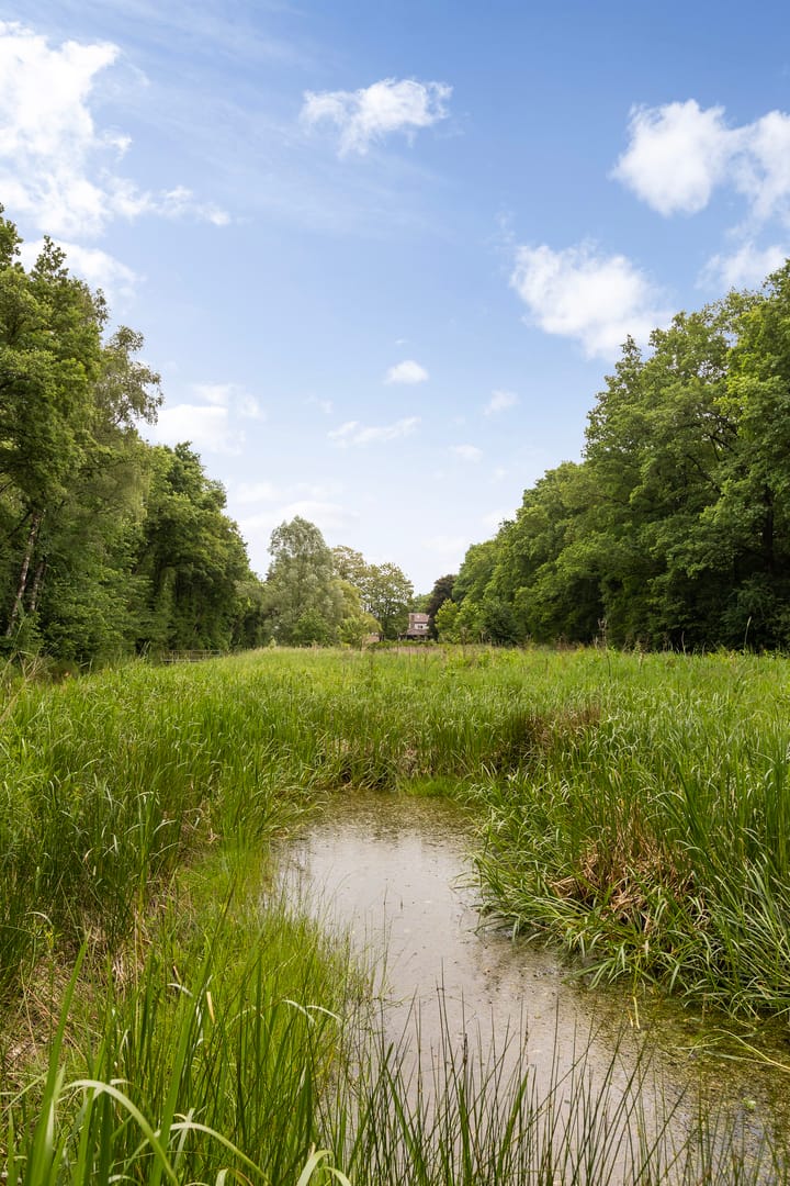 Foto 51 van Bleijenbeek 2