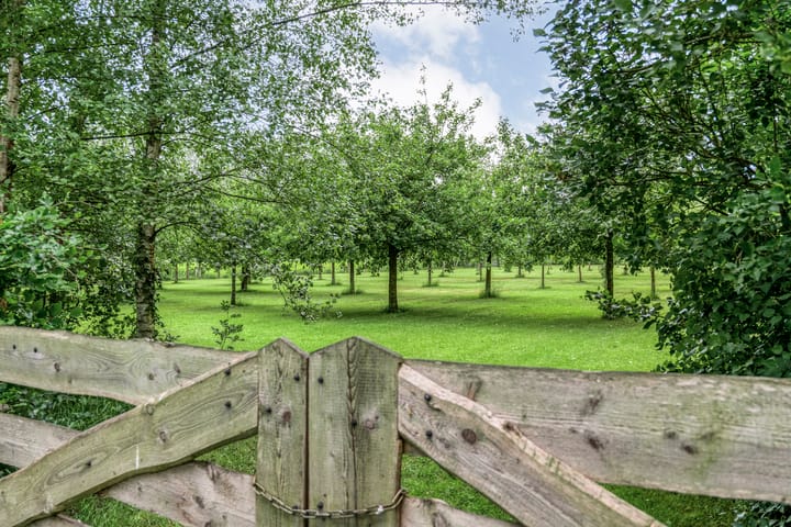 Foto 42 van Stappenbeltweg 2