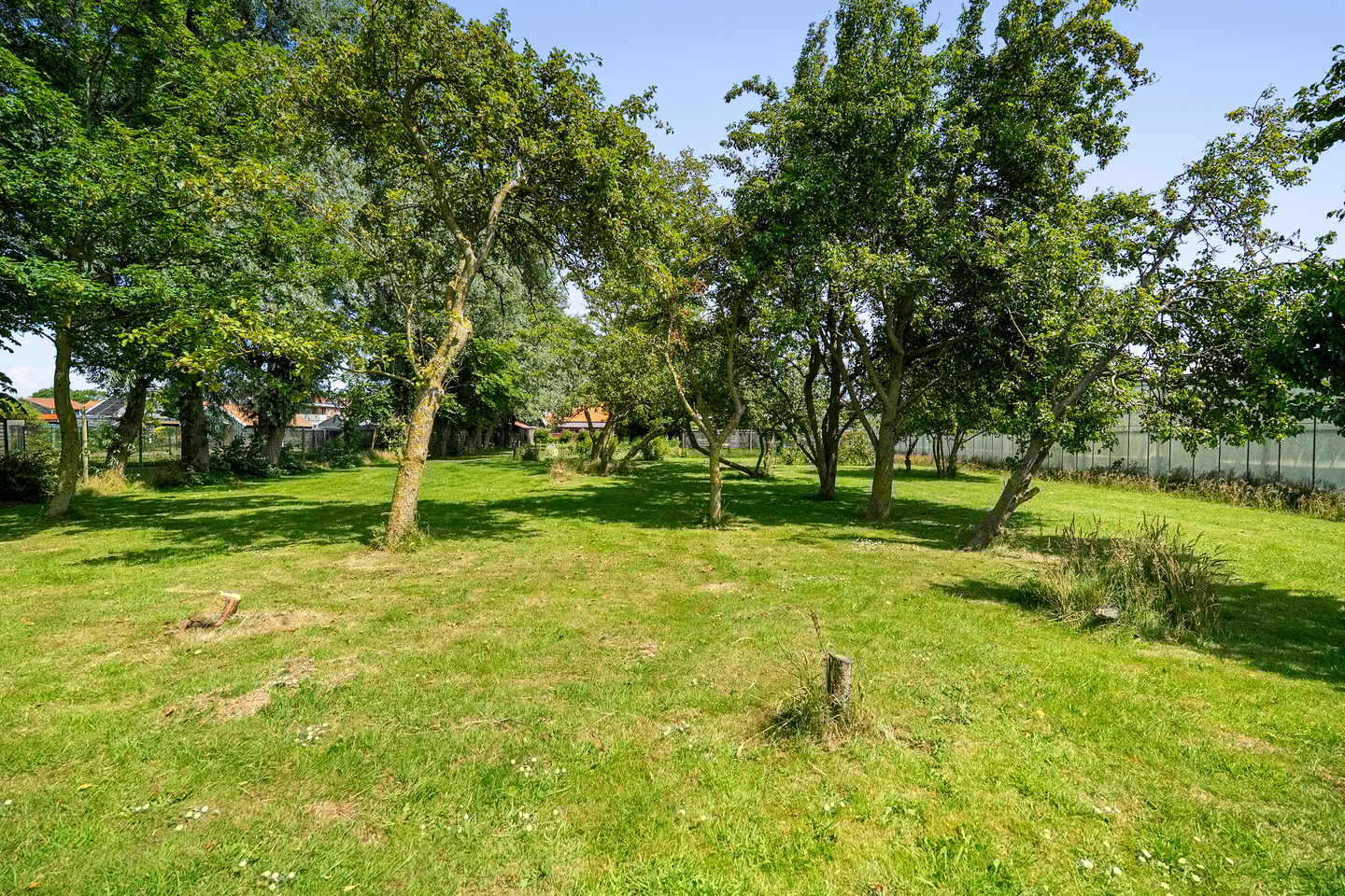 Foto 49 van Molenvaart 315