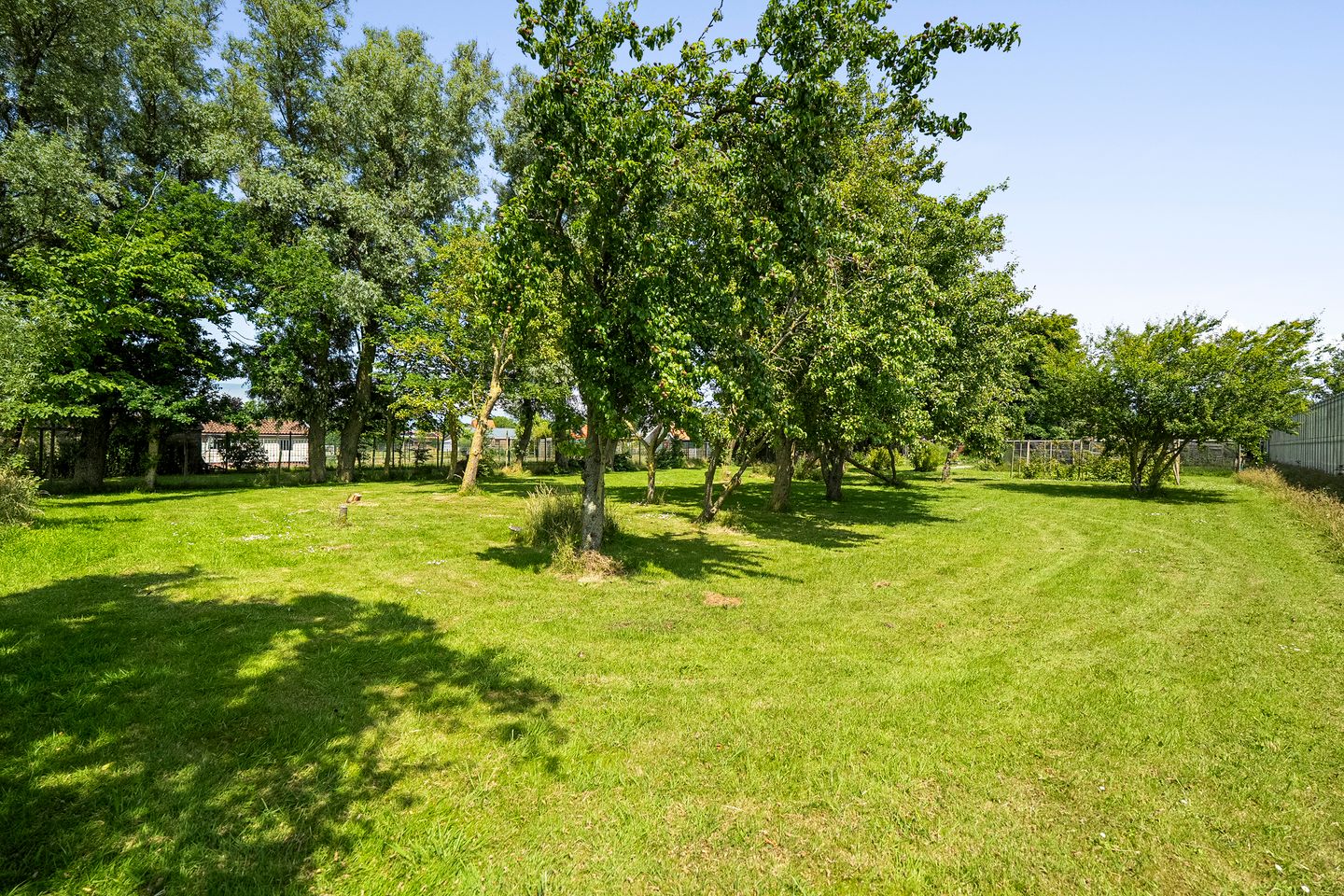 Foto 50 van Molenvaart 315