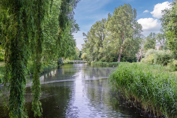 Foto 46 van Brigantijnstraat 19