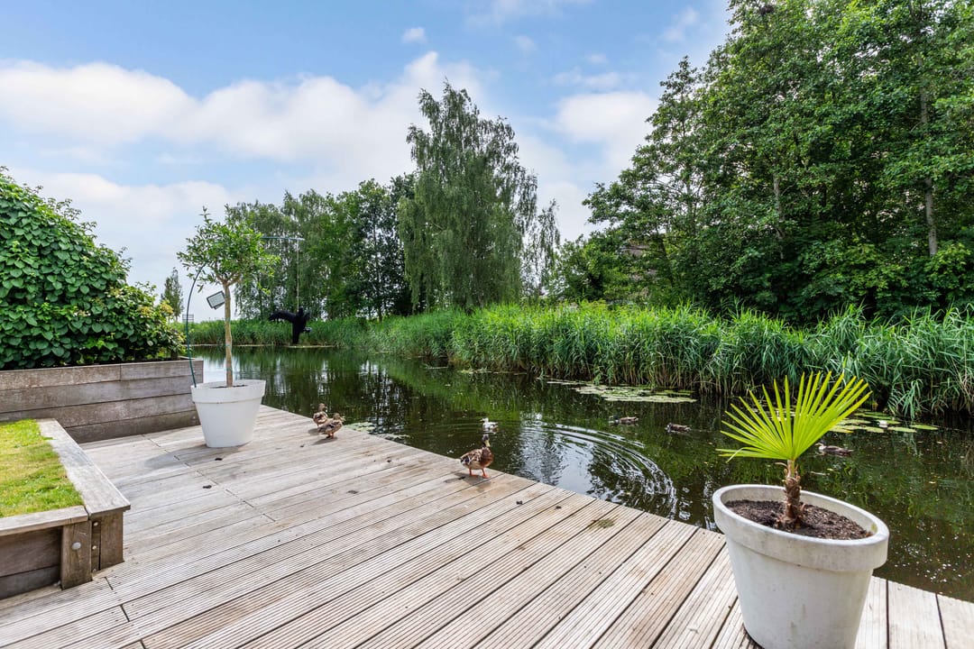 Foto 31 van Het Trek 12