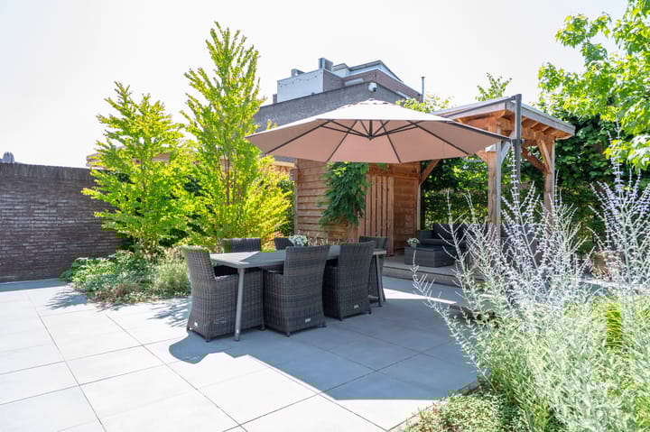 Foto 26 van Minerva 21