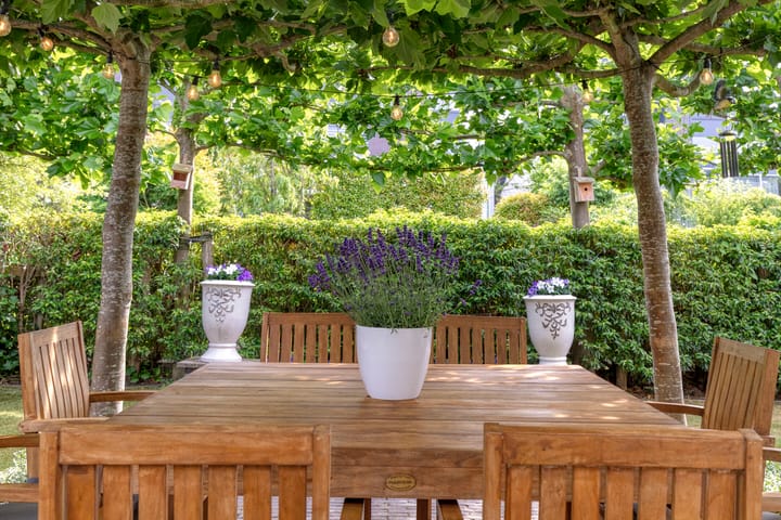 Photo 63 of Van Vredenburchlaan 71