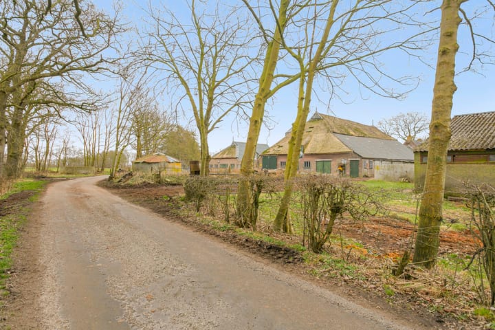 Foto 5 van Iestwei 2