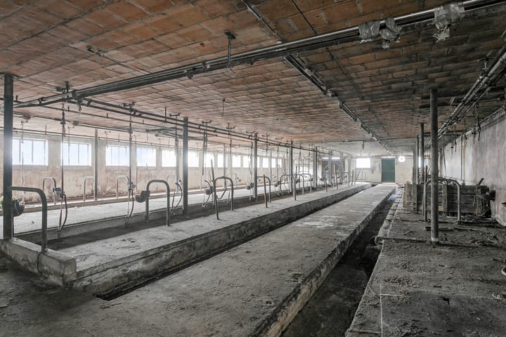 Foto 24 van Iestwei 2