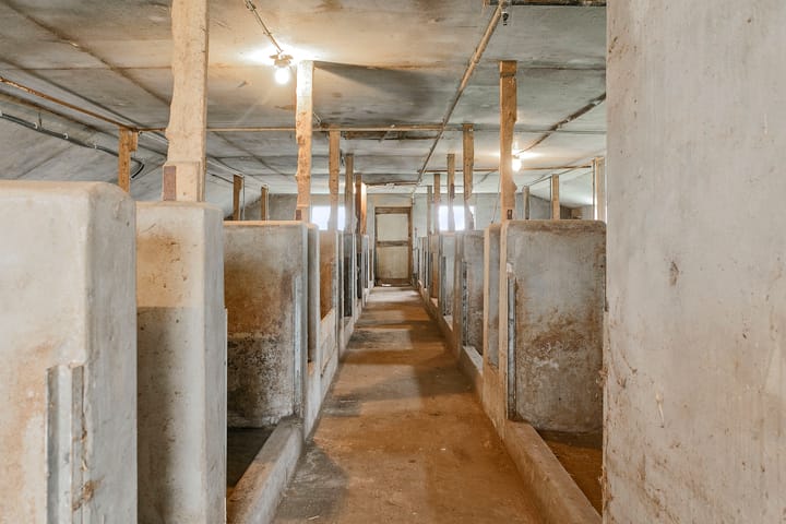 Foto 29 van Iestwei 2