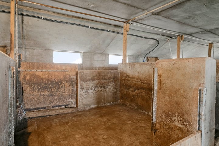 Foto 30 van Iestwei 2