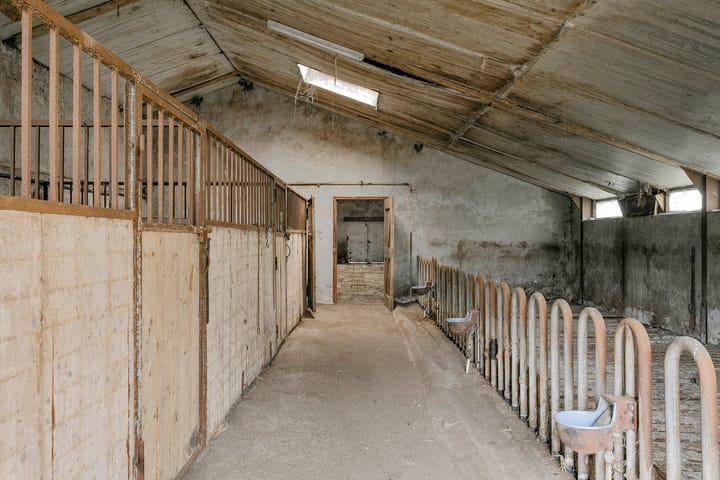 Foto 35 van Iestwei 2