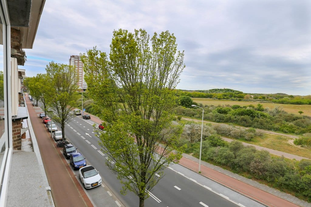 Foto 39 van Zwolsestraat 365