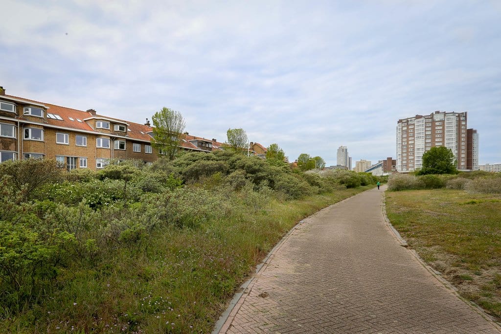 Foto 50 van Zwolsestraat 365