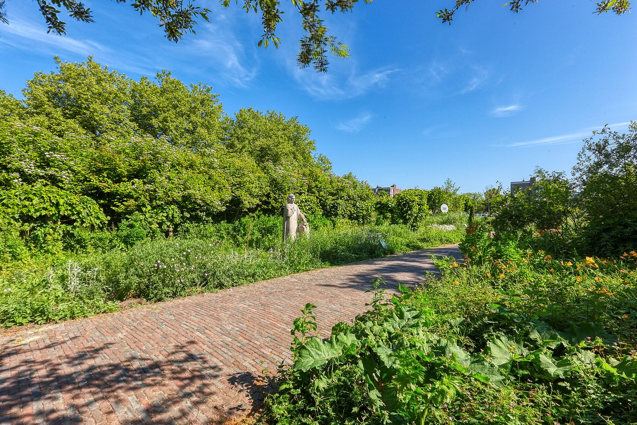 Photo 36 of Spinozalaan 1-GII