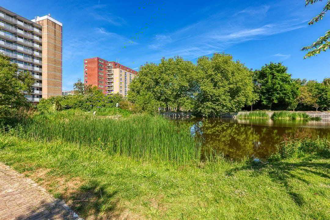 Photo 38 of Spinozalaan 1-GII