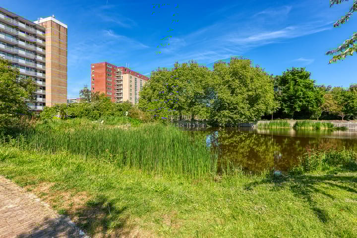 Photo 38 of Spinozalaan 1-GII